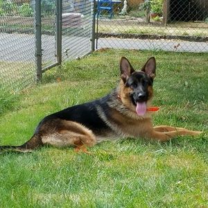 Meet your Posher, Deanne